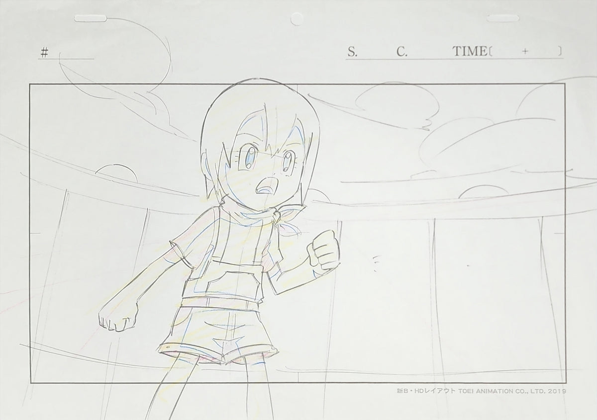 Digimon Adventure Kari Kamiya Animation Production Cel Drawing: 3899