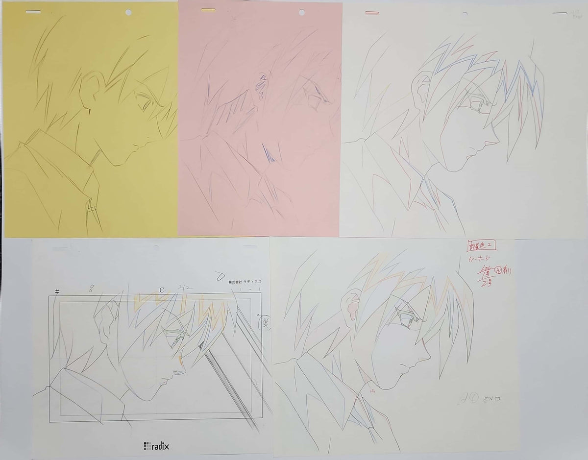 School Days Animation Production Cel Drawing Anime: 5 Sheets - 4143